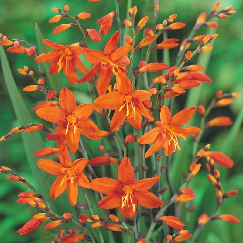 Thumbnail 10